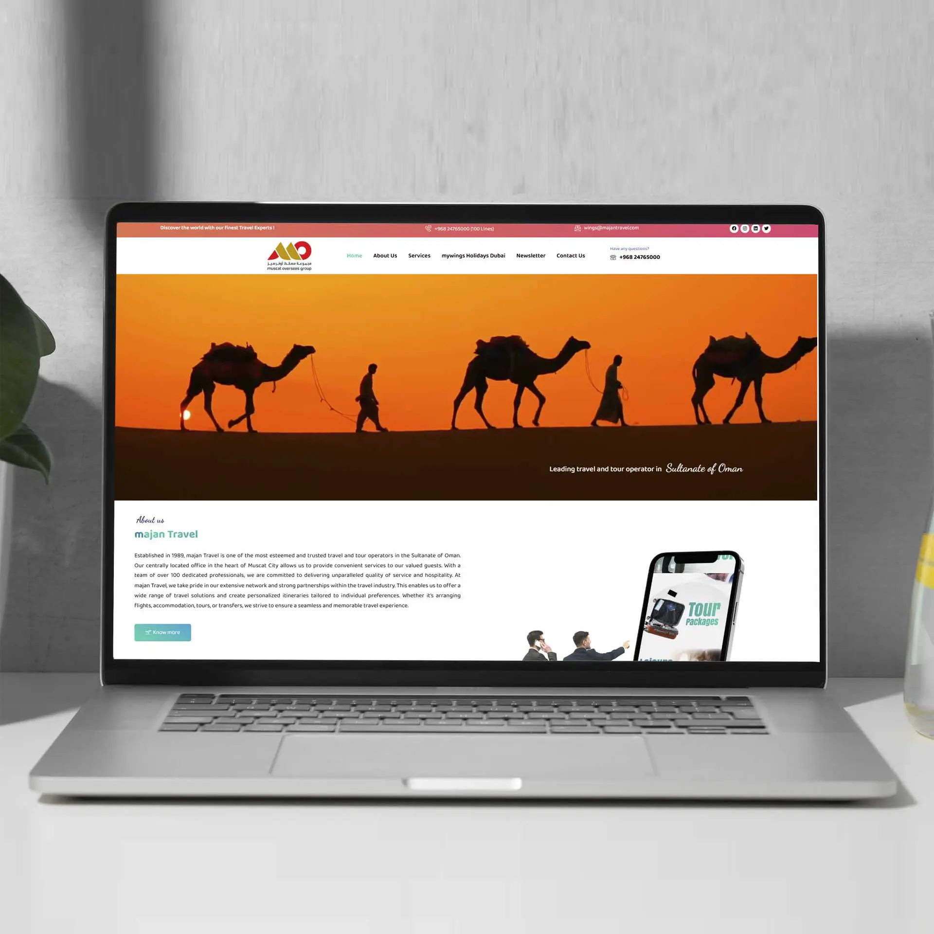 تطوير مواقع الويب